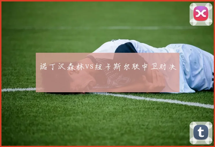 诺丁汉森林vs纽卡斯尔联中卫对决