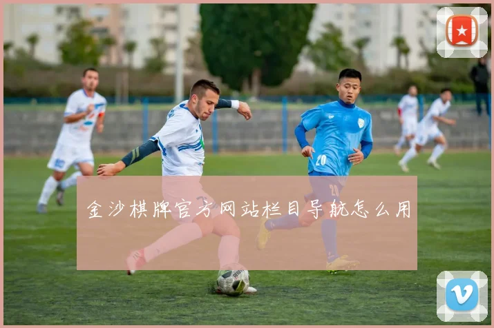 金沙棋牌官方网站栏目导航怎么用